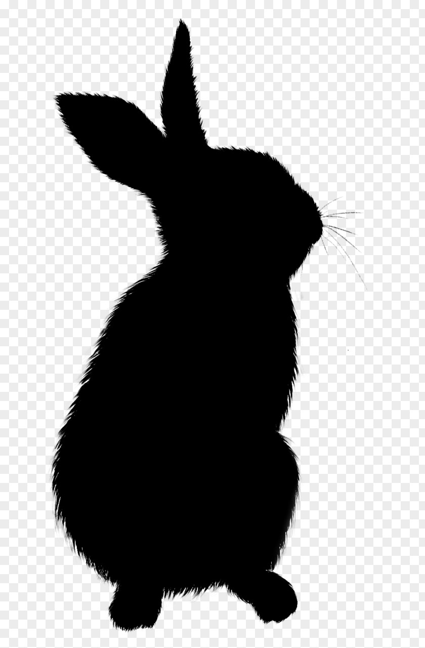 Domestic Rabbit Whiskers Hare Cat Paw PNG