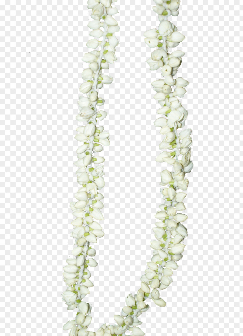 Flower Garland Sunset Cloud Sky Necklace Jewellery PNG