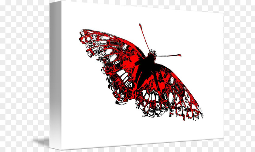 Glossy Butterflys Monarch Butterfly Black And White PNG