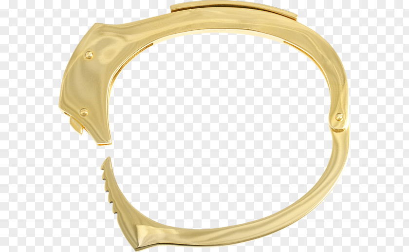 Gold Bangle Bracelet Colored Silver PNG