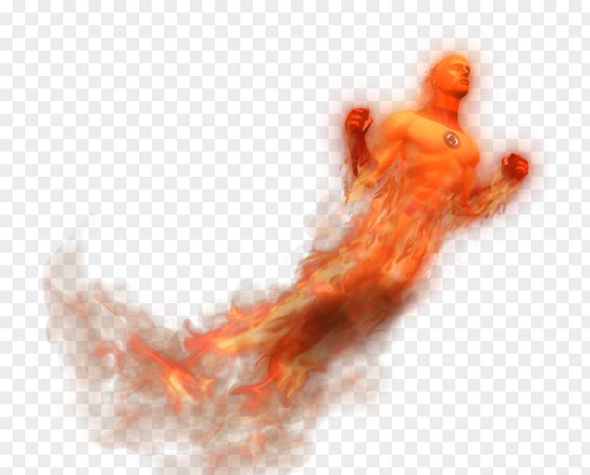 Human Torch Desktop Wallpaper Close-up Organism Computer PNG