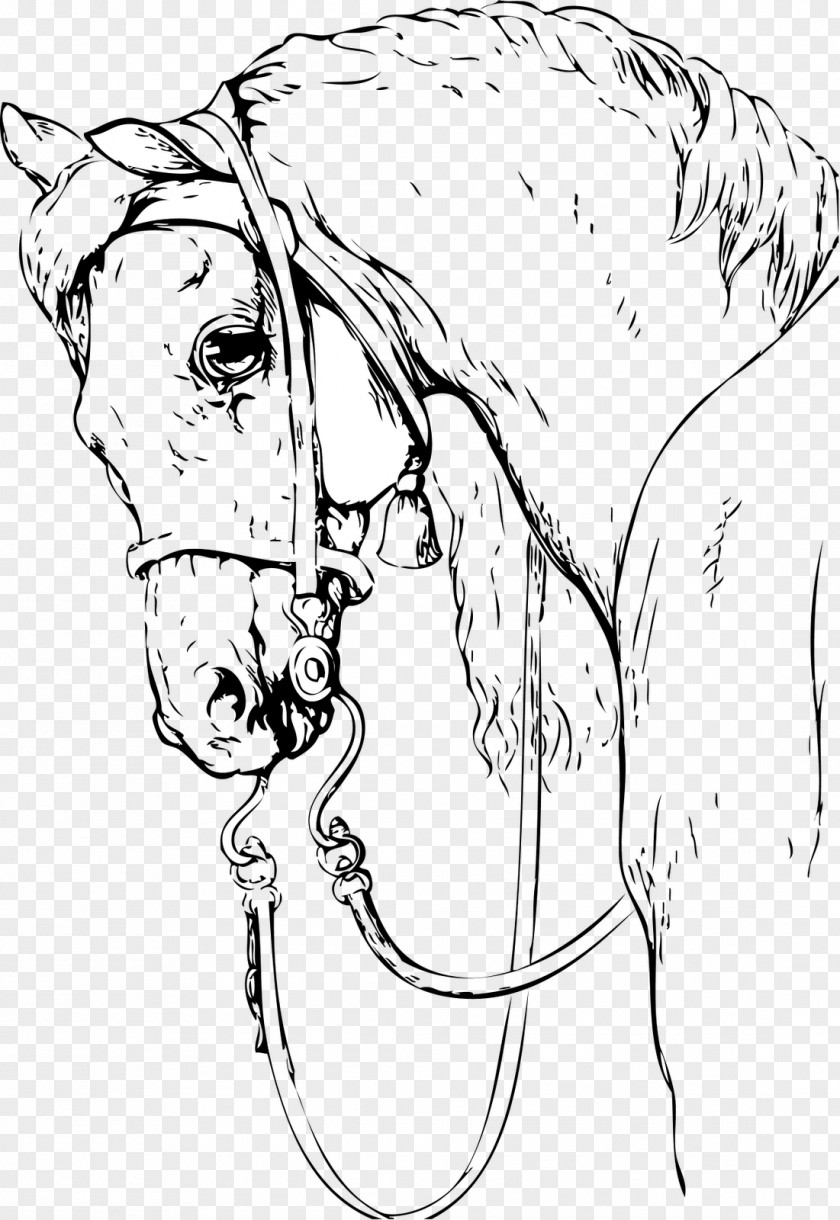 Painting Drawing Horse Black And White Clip Art PNG