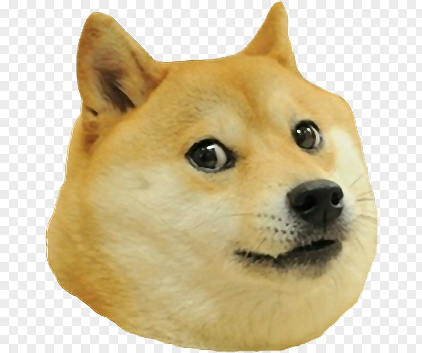 Shiba Inu Dogecoin PNG