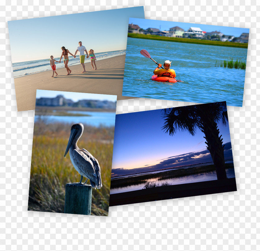 Vacation Photographic Paper Advertising Picture Frames Leisure PNG