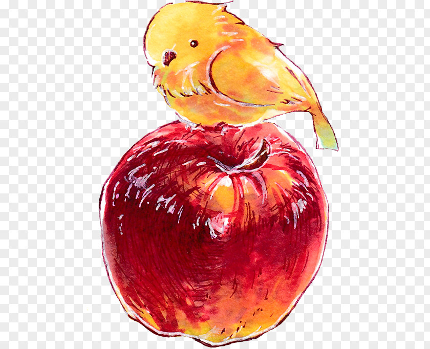 Apple Diamant Koninkrijk Bird Android PNG