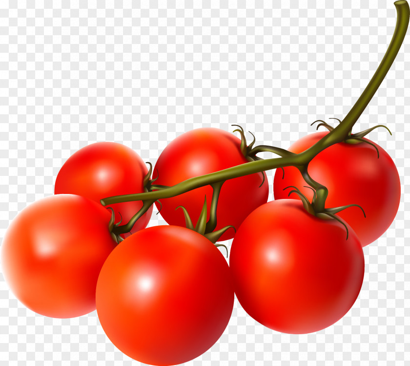 Cherry Tomatoes Tomato Vegetable Fruit PNG
