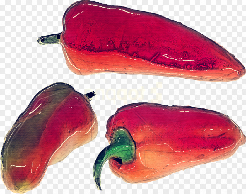 Cuisine Peperoncini Vegetable Cartoon PNG