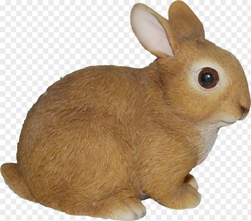 Fawn Audubons Cottontail Easter Bunny Background PNG