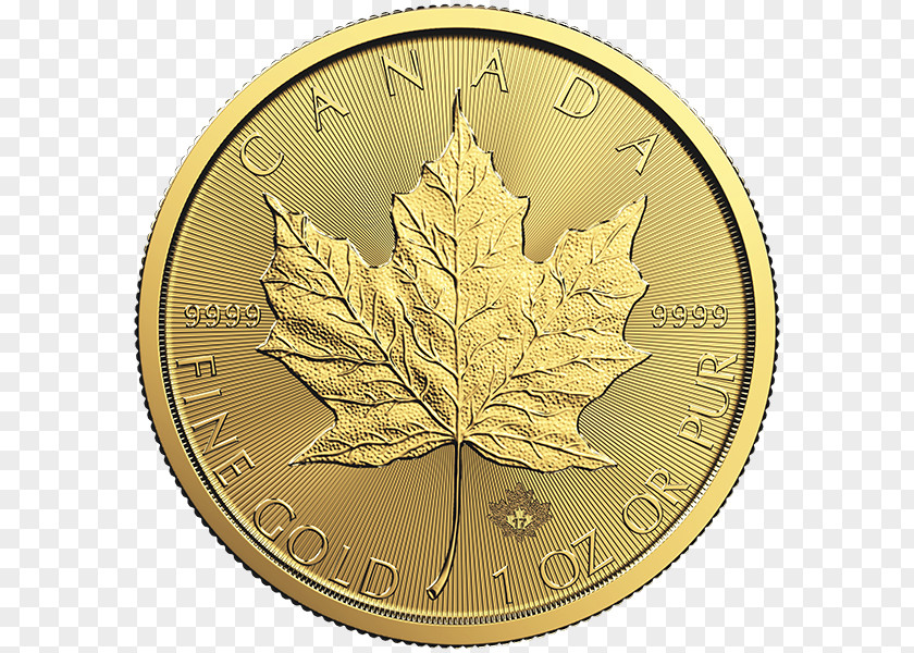 Gold Canadian Maple Leaf Royal Mint Bullion Coin PNG