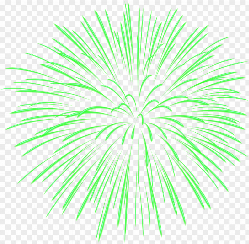 Green Firework Transparent Image File Formats Lossless Compression PNG