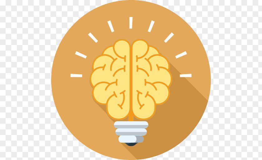 Knowledge Test Brain Vector Graphics Clip Art Illustration Image PNG