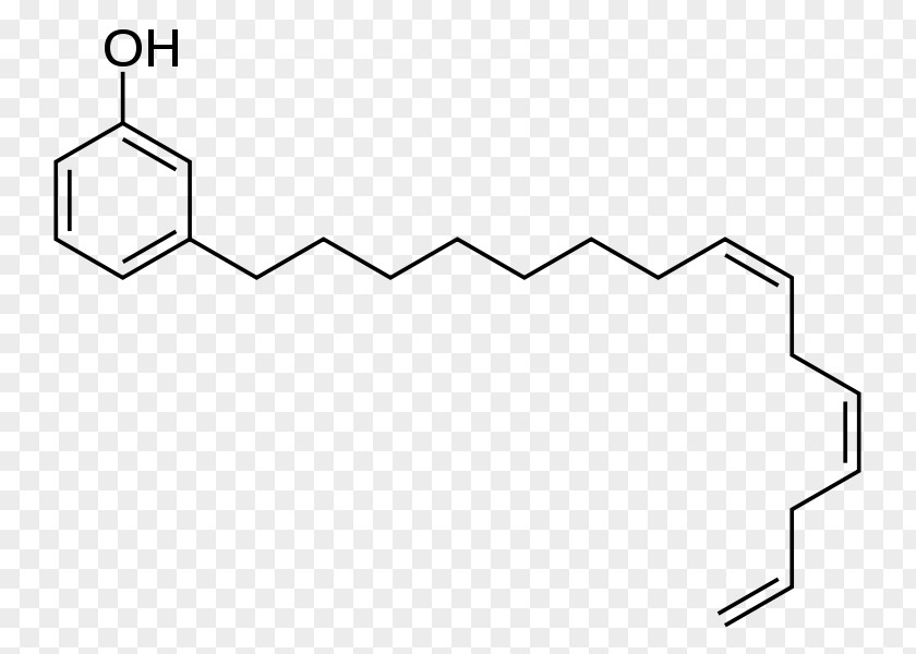 Under Water Cashew Nutshell Liquid Cardanol Anacardic Acids Phenalkamine PNG