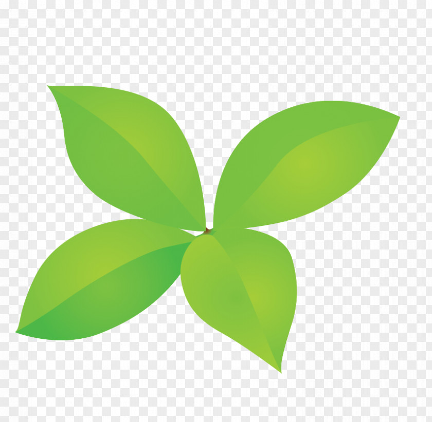 Green Clover Leaf Four-leaf Bud PNG