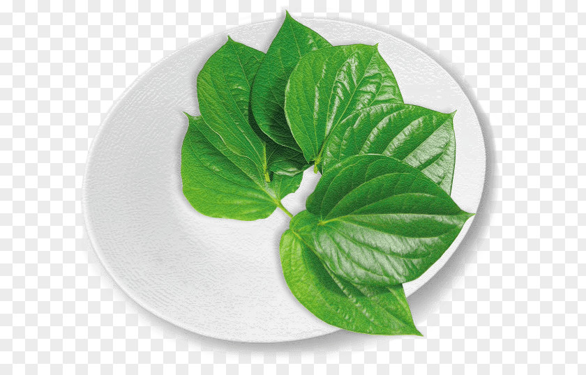 Leaf Vejle Asian Food Vegetable Betel Yardlong Bean PNG