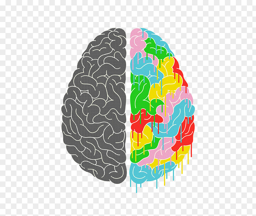 Math Transparent Picture Lateralization Of Brain Function Human Poster PNG