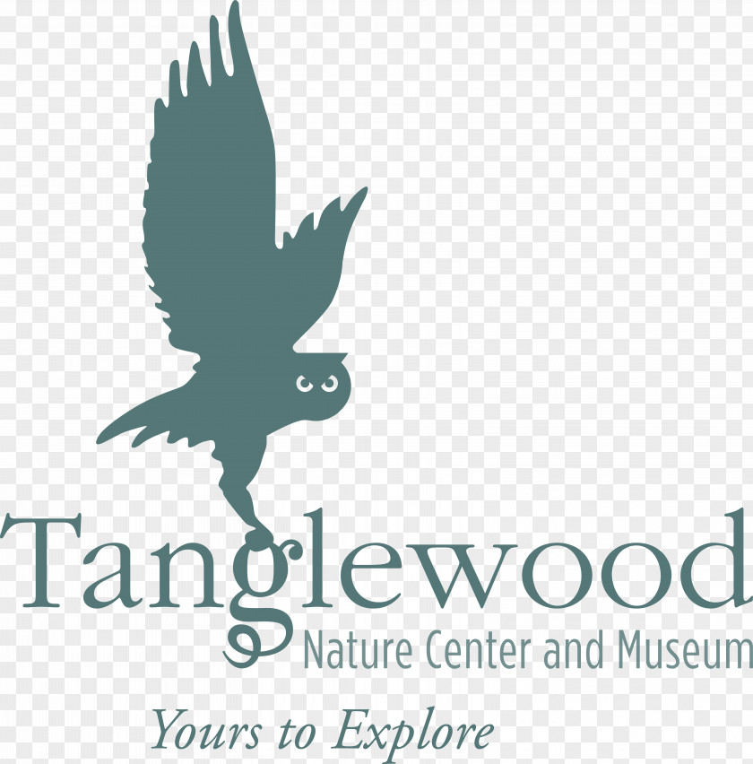 Nature Explorer Tanglewood Center Elmira Museum Logo Leadership: It's Child's Play PNG