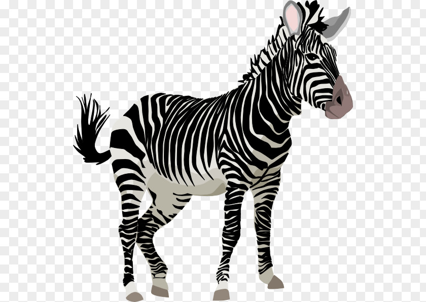 Animated Zebra Cliparts Cuteness Cartoon Clip Art PNG