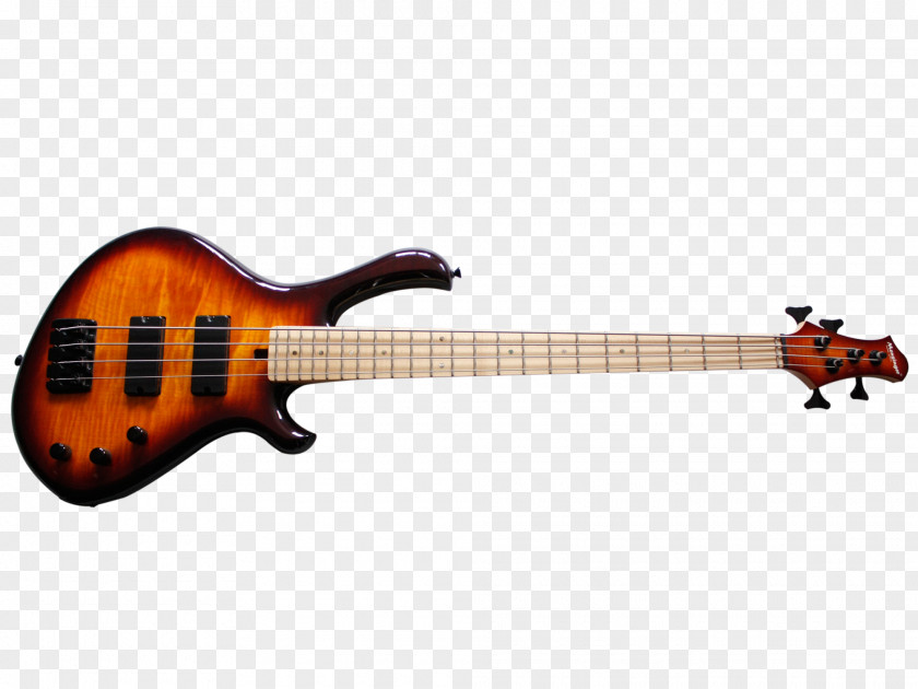 Bass Guitar Acoustic Acoustic-electric Violin PNG