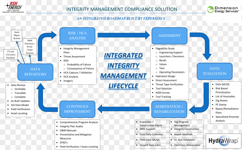 Business Asset Integrity Management Systems Inspection Flowchart Organization PNG
