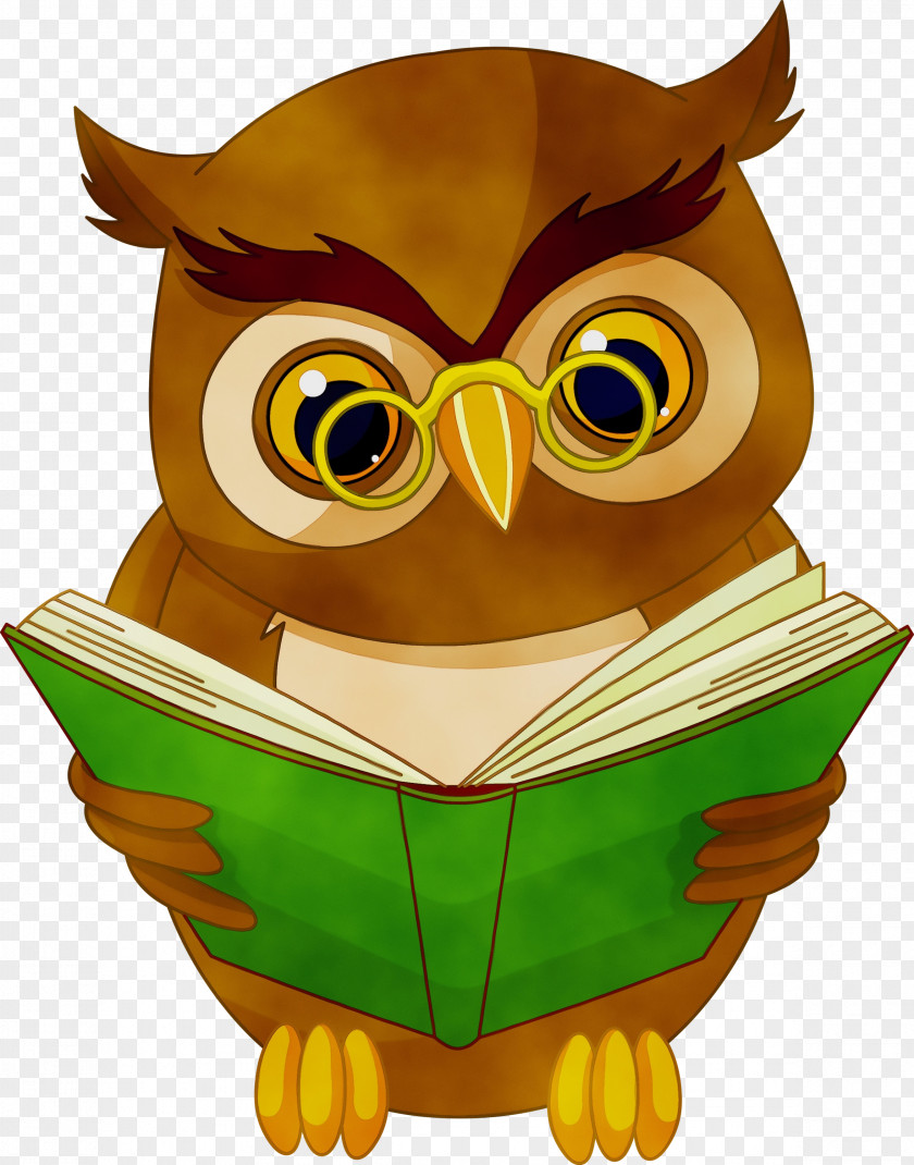 Eastern Screech Owl Yellow Book Watercolor PNG