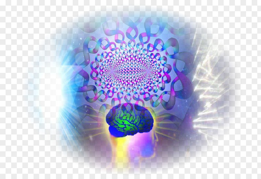 Fylfot Consciousness Chokhmah Tree Of Life Binah Human Brain PNG