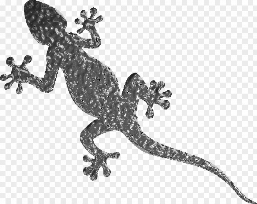 Lizard Common Iguanas Gecko Tattoo PNG