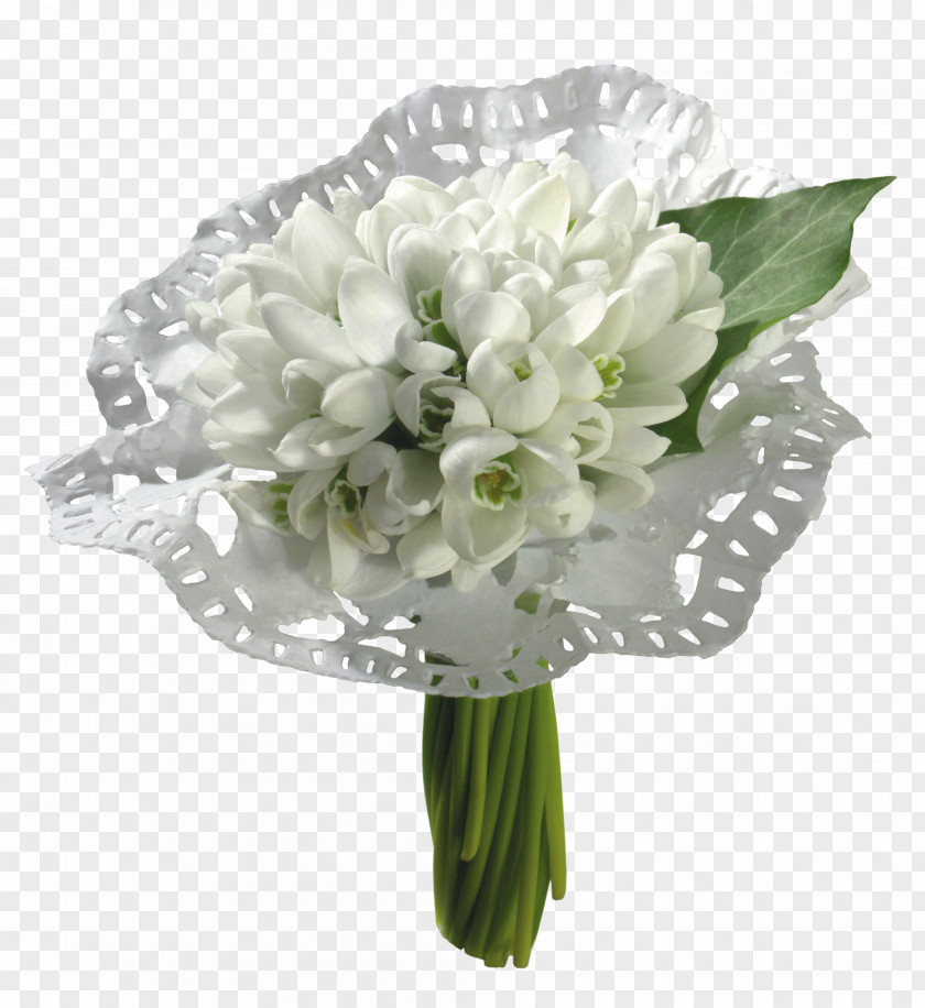 Snowdrop Cape Jasmine Flower Desktop Wallpaper PNG