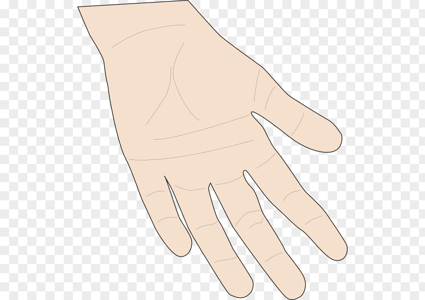 The Palm Of Your Hand Download Clip Art PNG