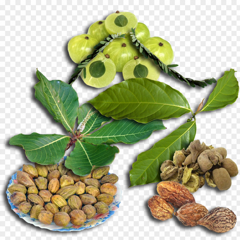 Triphala Ayurveda Natural Foods Powder PNG