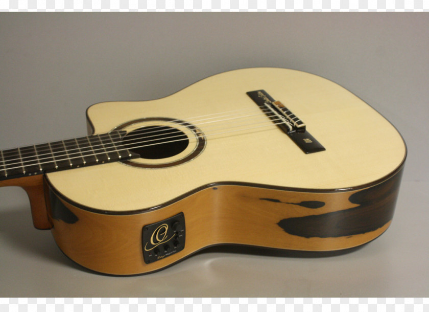 Acoustic Guitar Bass Tiple Cavaquinho Acoustic-electric PNG