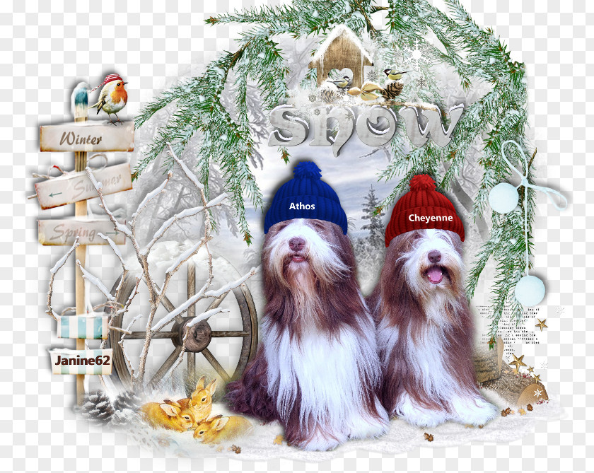 Christmas Tree Dog Breed Shih Tzu Ornament PNG