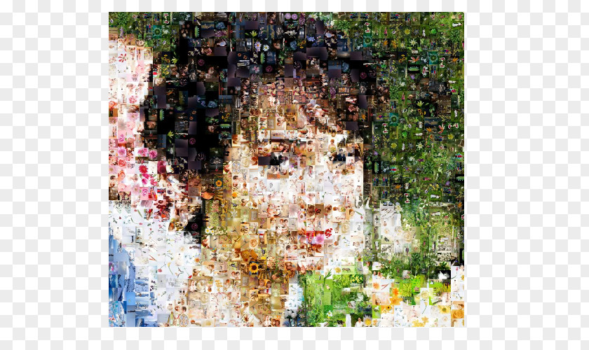 Collage Photographic Mosaic Photography PNG