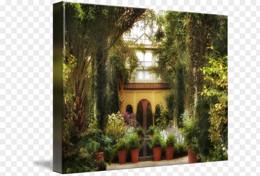 Courtyard Majorelle Garden Blue Nature Gallery Wrap PNG