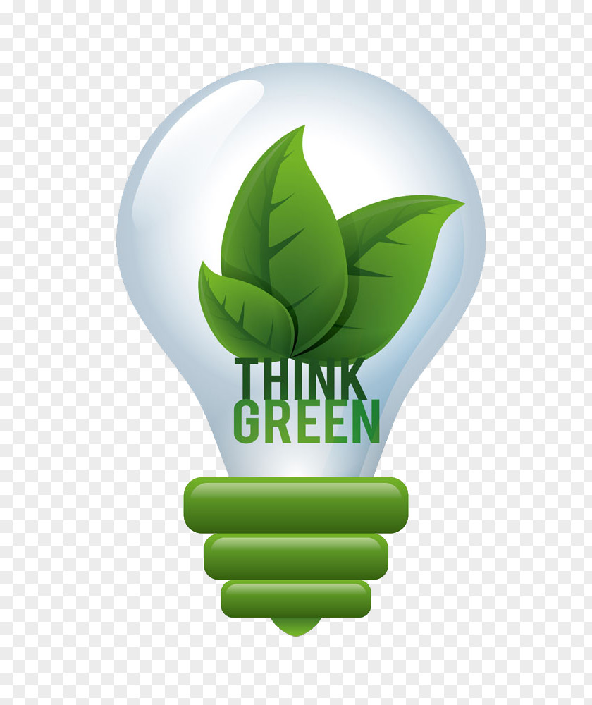 Creative Green Leaves Bulb Photography PNG