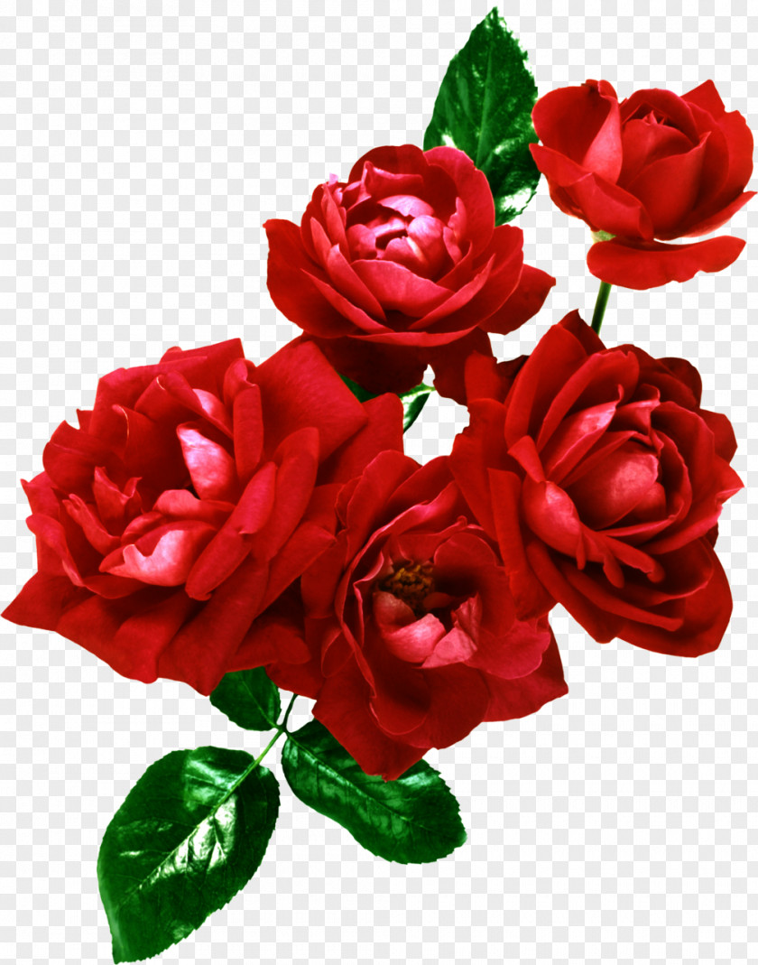 Flower Bouquet Garden Roses Cut Flowers Floral Design PNG