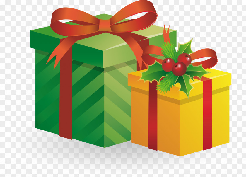 Gift Box Mrs. Claus Santa Christmas PNG