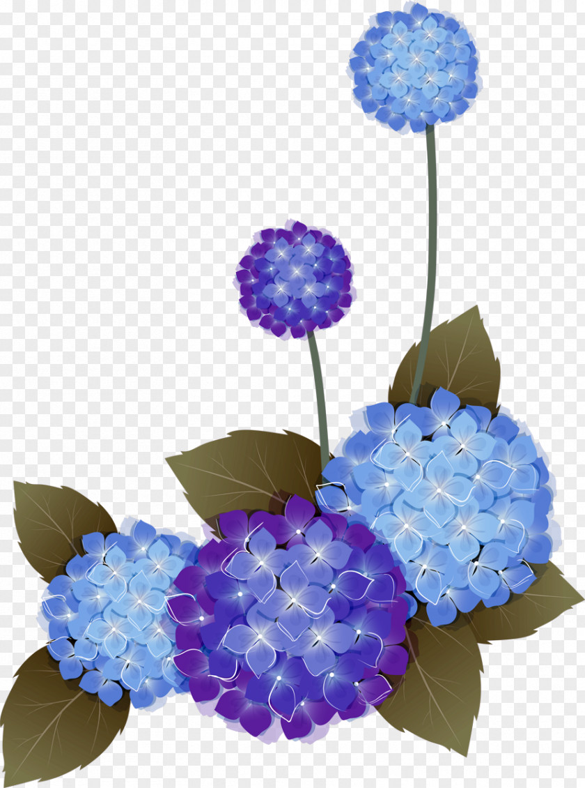 Hydrangea Flower Wreath PNG