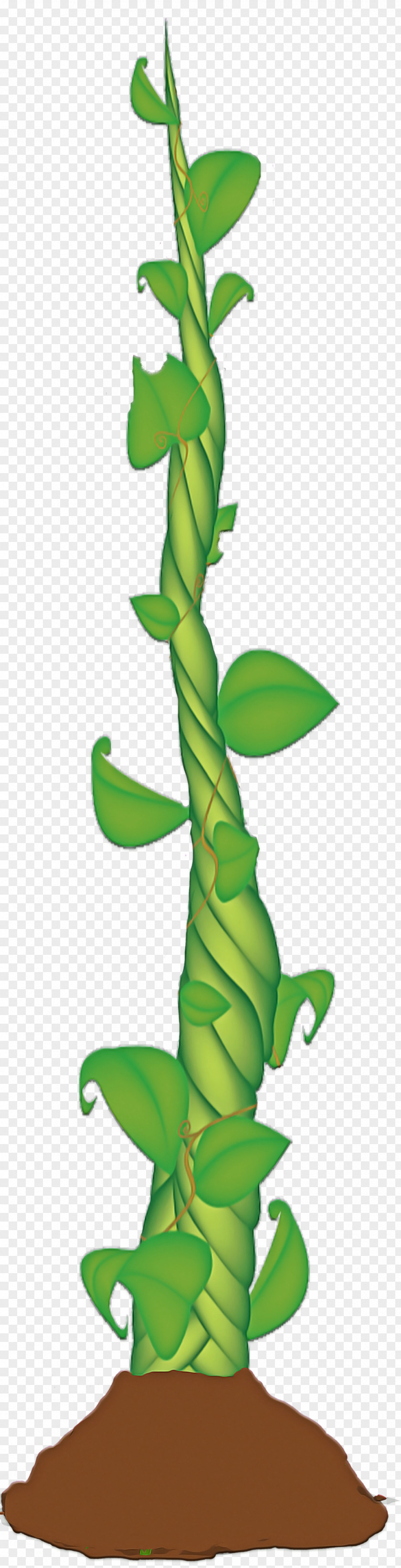 Leaf Plant Stem Cartoon Tree PNG