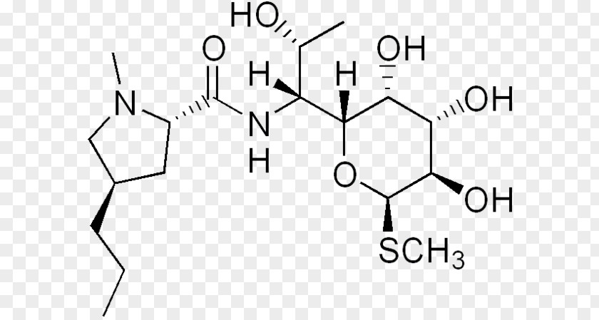 Lincomycin Lincosamides Antibiotics Streptomyces Clindamycin PNG