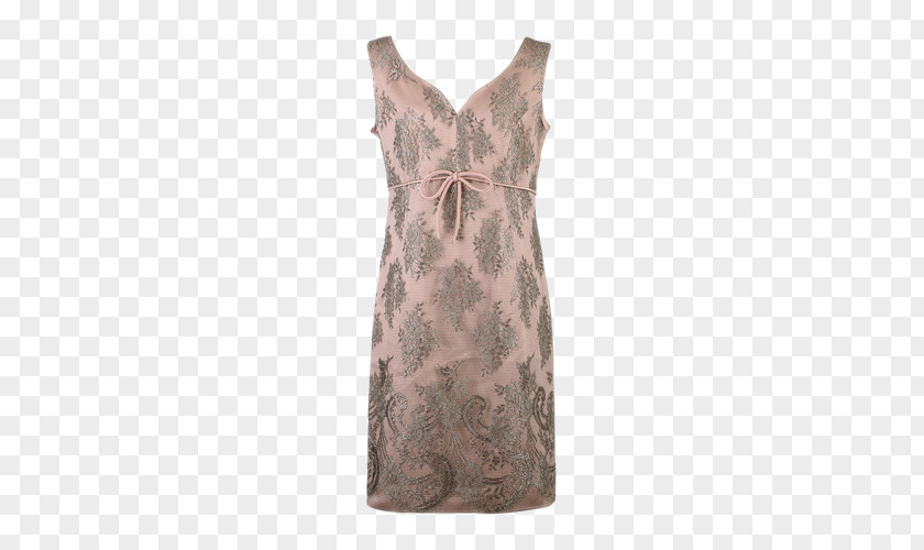 Ms. Decorative Lace Dress Clothing PNG