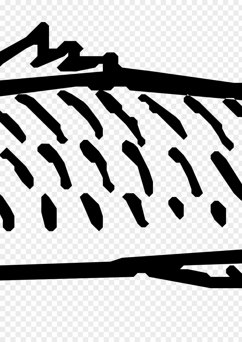 Packed Fish Scale Clip Art PNG