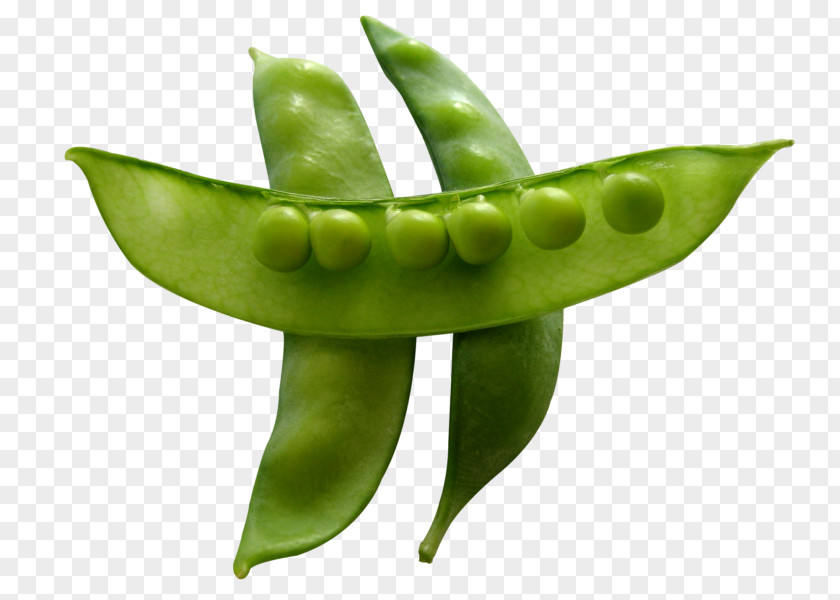 Pois Doux Thika Snow Pea Snap Vegetable Bean Green PNG