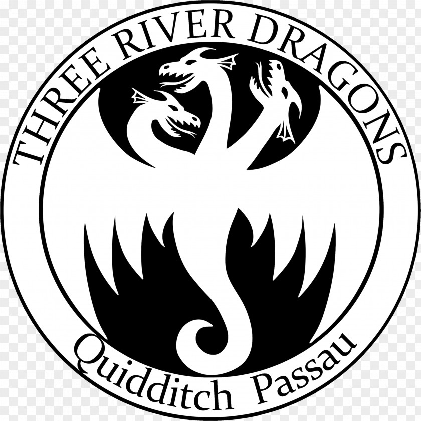 Quidditch Facebook Coach EmailOthers Three River Dragons Passau PNG