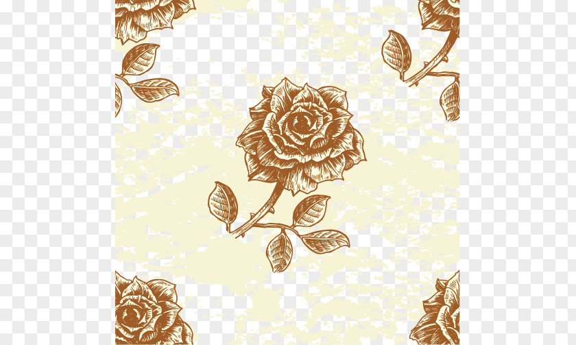 Fresh Flowers Shading Free Download Beach Rose PNG