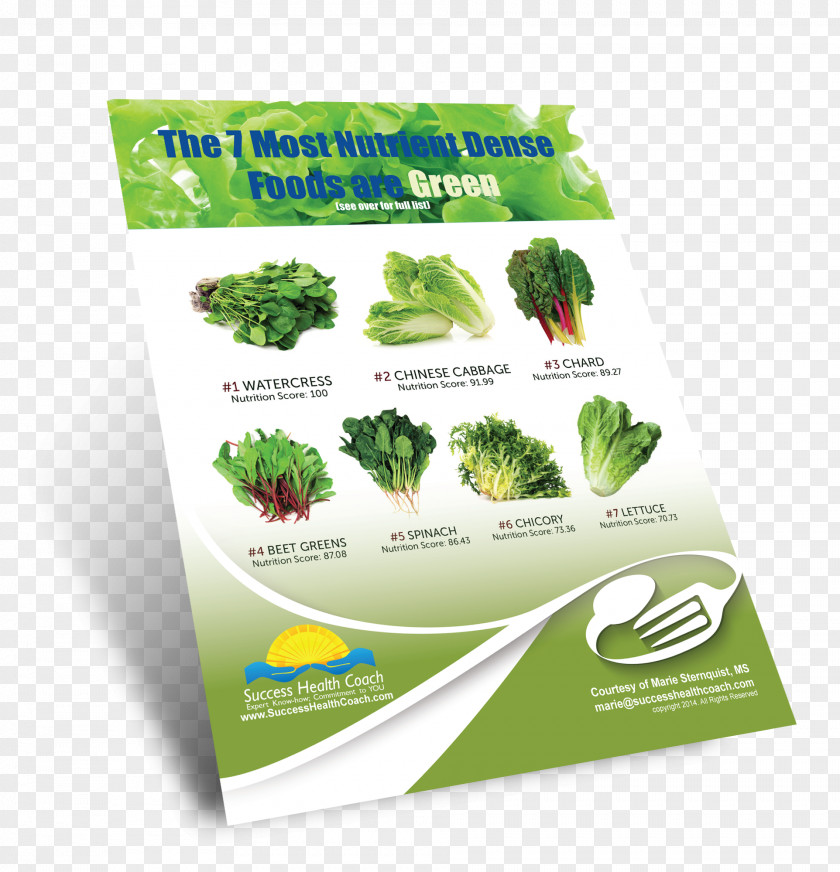 Fruits And Vegetables Nutrition Month Leaf Vegetable Herb Brand PNG