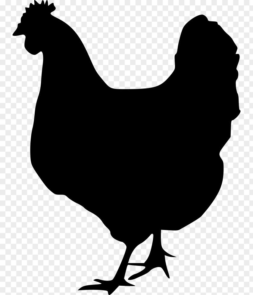 Hen Chicken Rooster Silhouette Clip Art PNG