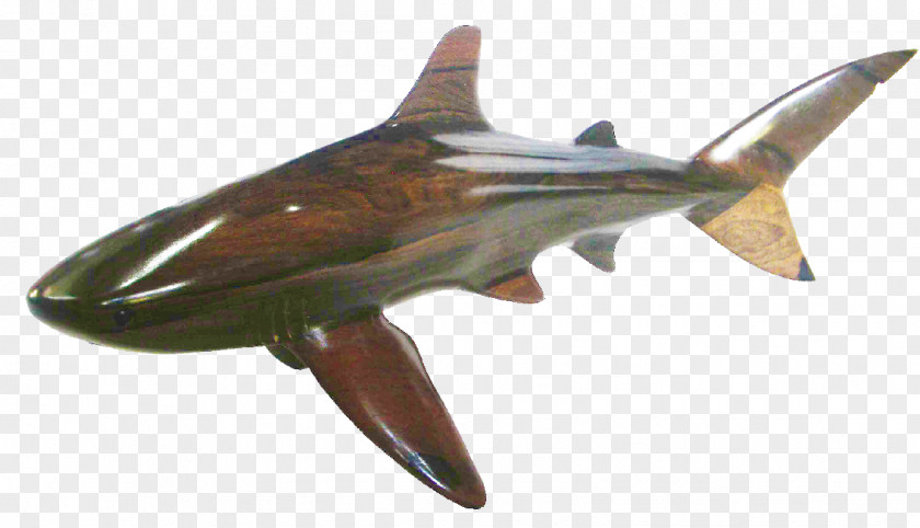 Shark Whale Bull Hammerhead Cetacea PNG