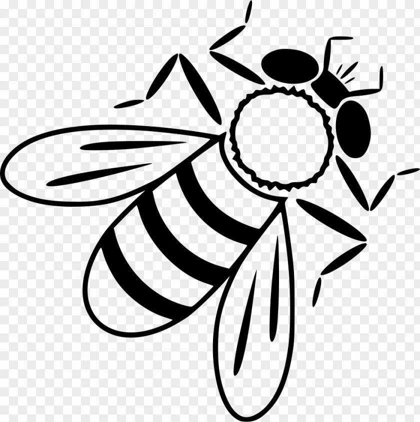 Insect Honey Bee Worker Clip Art PNG