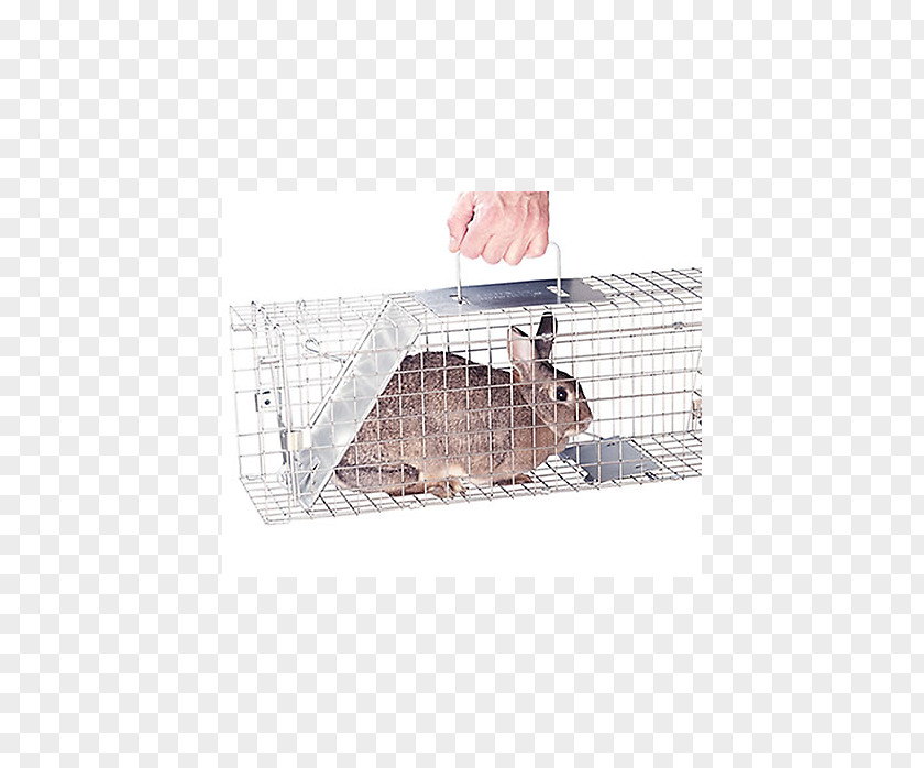 Mouse Trap Hare Squirrel Trapping Rabbit Cage PNG