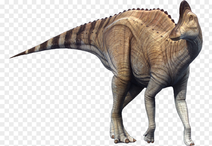 Tyrannosaurus Wildlife Dinosaur PNG